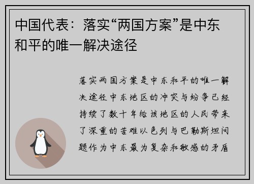 中国代表：落实“两国方案”是中东和平的唯一解决途径